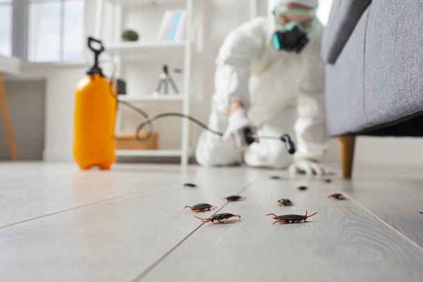 Commercial Kitchen Cockroach Control in Mission Hills